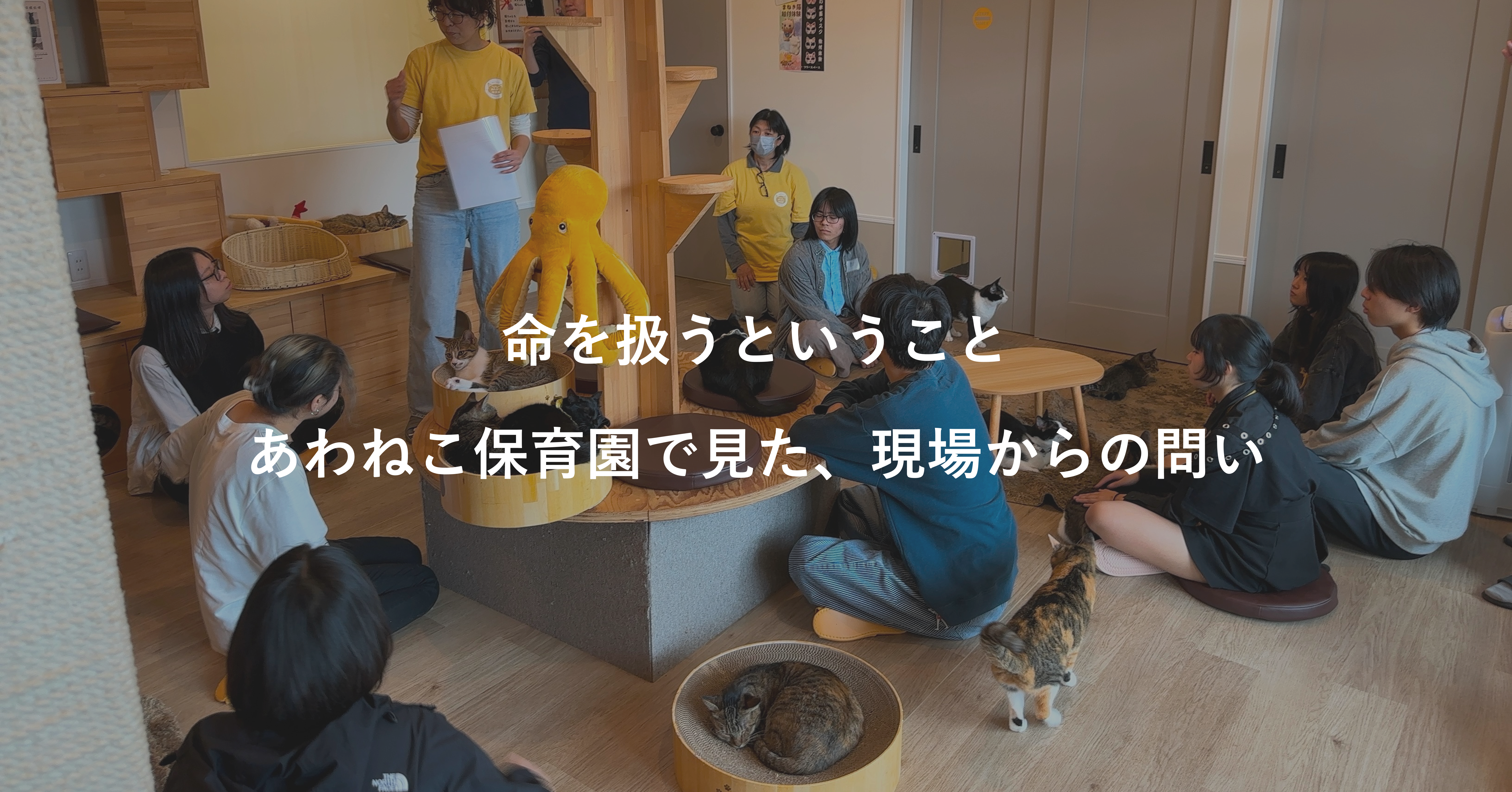 NPO法人 あわねこ保育園
